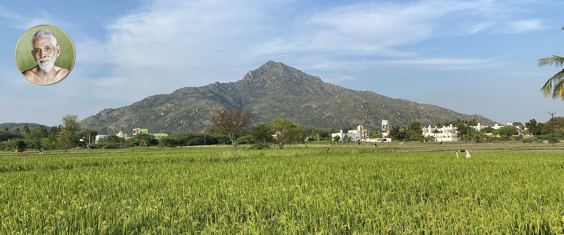 Sacred Arunachala Hill, Tiruvannamalai