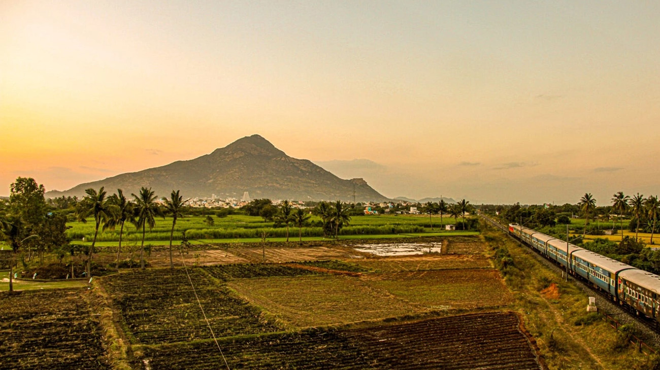 Arunachala rising beyond green fields at dusk, seen from the plain near Tiruvannamalai