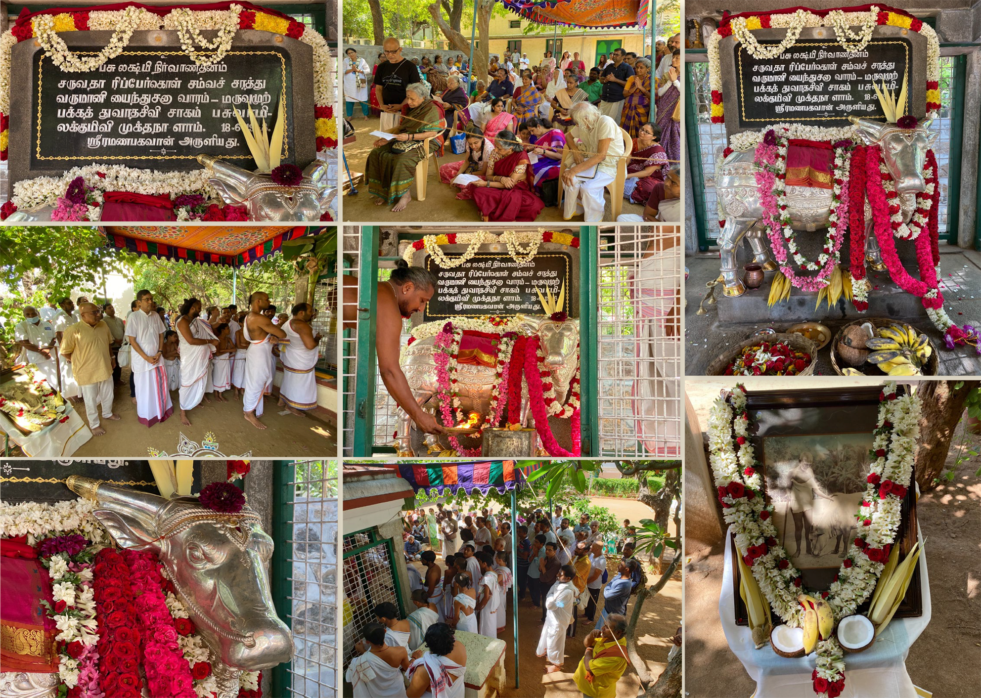 Nataraja Puja